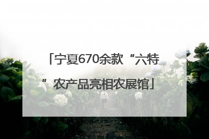 宁夏670余款“六特”农产品亮相农展馆