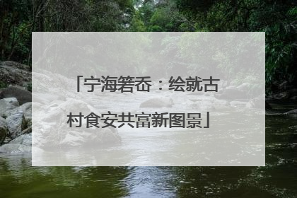 宁海箬岙：绘就古村食安共富新图景