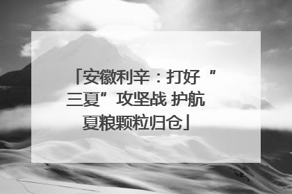 安徽利辛：打好“三夏”攻坚战 护航夏粮颗粒归仓