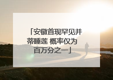 安徽首现罕见并蒂睡莲 概率仅为百万分之一