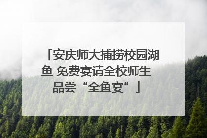 安庆师大捕捞校园湖鱼 免费宴请全校师生品尝“全鱼宴”