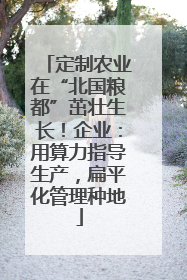 定制农业在“北国粮都”茁壮生长！企业：用算力指导生产，扁平化管理种地