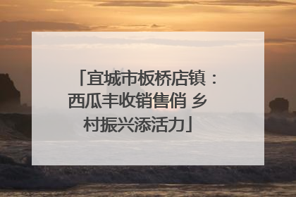 宜城市板桥店镇：西瓜丰收销售俏 乡村振兴添活力