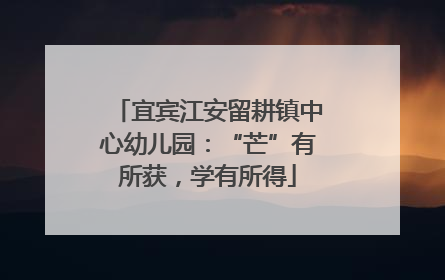 宜宾江安留耕镇中心幼儿园：“芒”有所获，学有所得