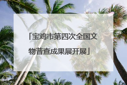 宝鸡市第四次全国文物普查成果展开展