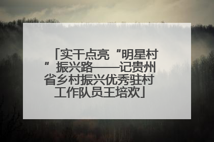 实干点亮“明星村”振兴路——记贵州省乡村振兴优秀驻村工作队员王培欢