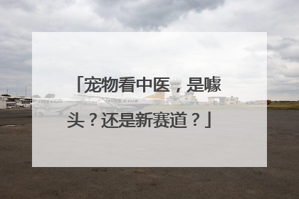 宠物看中医，是噱头？还是新赛道？