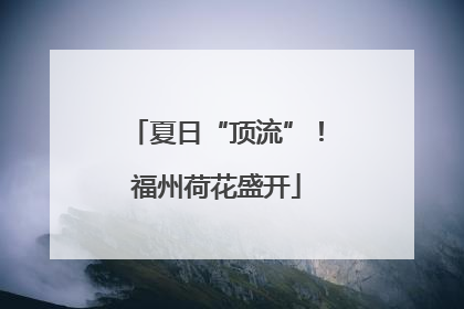 夏日“顶流”！福州荷花盛开