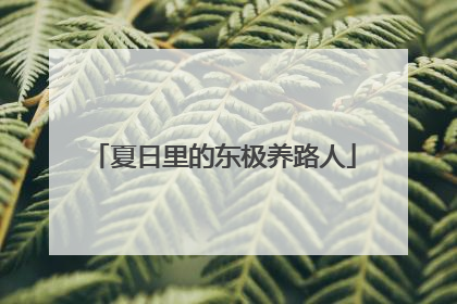 夏日里的东极养路人