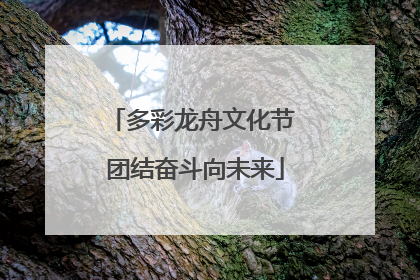 多彩龙舟文化节 团结奋斗向未来