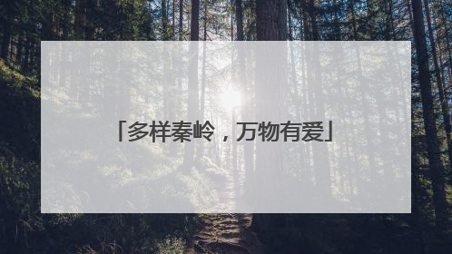 多样秦岭，万物有爱