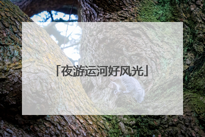 夜游运河好风光