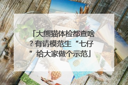 大熊猫体检都查啥？有请模范生“七仔”给大家做个示范