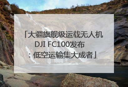 大疆旗舰级运载无人机DJI FC100发布：低空运输集大成者