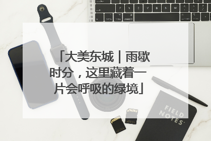 大美东城｜雨歇时分，这里藏着一片会呼吸的绿境