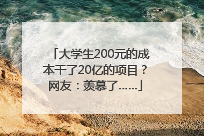 大学生200元的成本干了20亿的项目？网友：羡慕了……