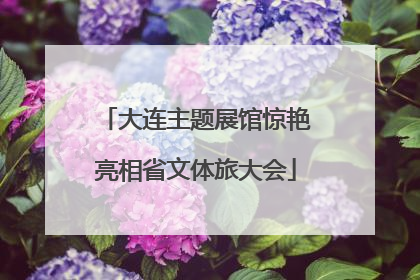 大连主题展馆惊艳亮相省文体旅大会