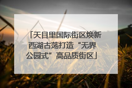 天目里国际街区焕新 西湖古荡打造“无界公园式”高品质街区