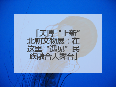天博“上新”北朝文物展：在这里“遇见”民族融合大舞台