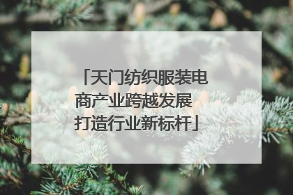 天门纺织服装电商产业跨越发展 打造行业新标杆