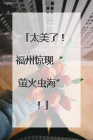 太美了！福州惊现“萤火虫海”！