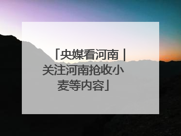 央媒看河南｜关注河南抢收小麦等内容