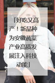 好吃又高产！新品种为安徽蔬菜产业高质发展注入科技动能