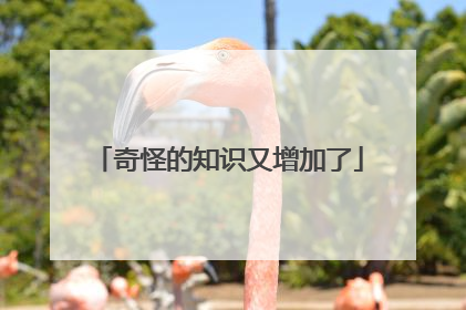 奇怪的知识又增加了