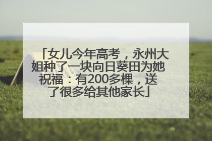 女儿今年高考，永州大姐种了一块向日葵田为她祝福：有200多棵，送了很多给其他家长
