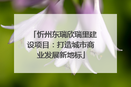 忻州东瑞欣瑞里建设项目：打造城市商业发展新地标