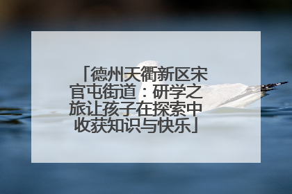 德州天衢新区宋官屯街道：研学之旅让孩子在探索中收获知识与快乐