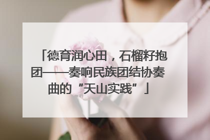 德育润心田，石榴籽抱团——奏响民族团结协奏曲的“天山实践”