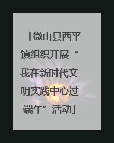 微山县西平镇组织开展“我在新时代文明实践中心过端午”活动