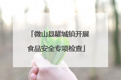 微山县驩城镇开展食品安全专项检查
