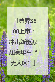 尊界S800上市：冲击新能源超豪华车“无人区”