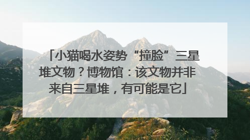 小猫喝水姿势“撞脸”三星堆文物？博物馆：该文物并非来自三星堆，有可能是它