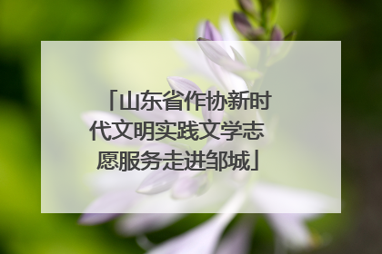 山东省作协新时代文明实践文学志愿服务走进邹城