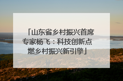 山东省乡村振兴首席专家杨飞：科技创新点燃乡村振兴新引擎