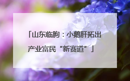 山东临朐：小鹅肝拓出产业富民“新赛道”