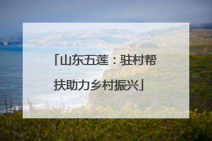 山东五莲：驻村帮扶助力乡村振兴
