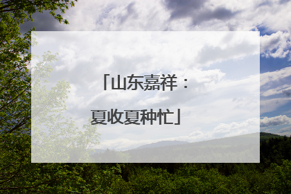 山东嘉祥：夏收夏种忙
