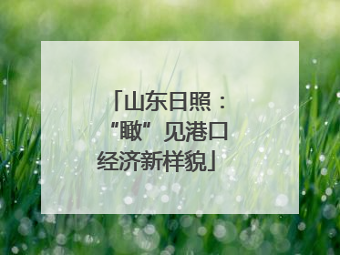 山东日照：“瞰”见港口经济新样貌