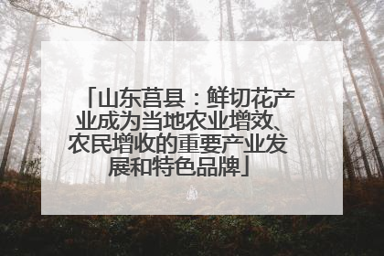 山东莒县：鲜切花产业成为当地农业增效、农民增收的重要产业发展和特色品牌