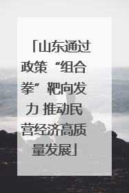 山东通过政策“组合拳”靶向发力 推动民营经济高质量发展