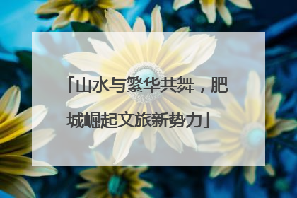 山水与繁华共舞，肥城崛起文旅新势力