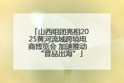 山西组团亮相2025黄河流域跨境电商博览会 加速推动“晋品出海”