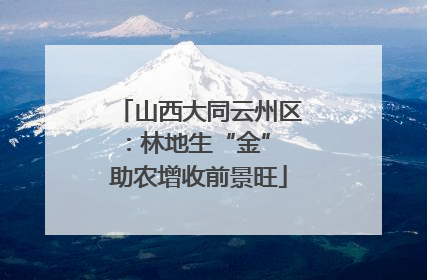 山西大同云州区：林地生“金” 助农增收前景旺