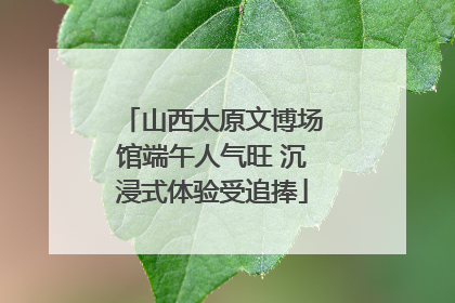 山西太原文博场馆端午人气旺 沉浸式体验受追捧