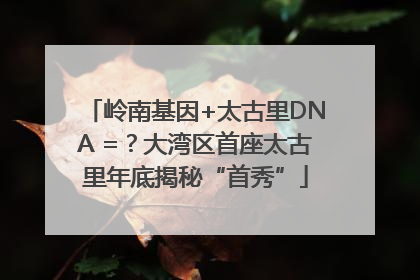 岭南基因+太古里DNA =？大湾区首座太古里年底揭秘“首秀”