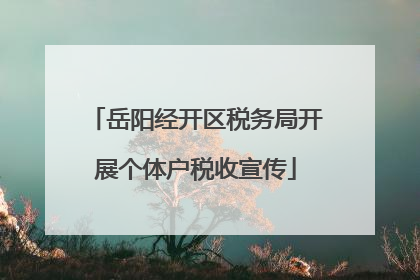 岳阳经开区税务局开展个体户税收宣传